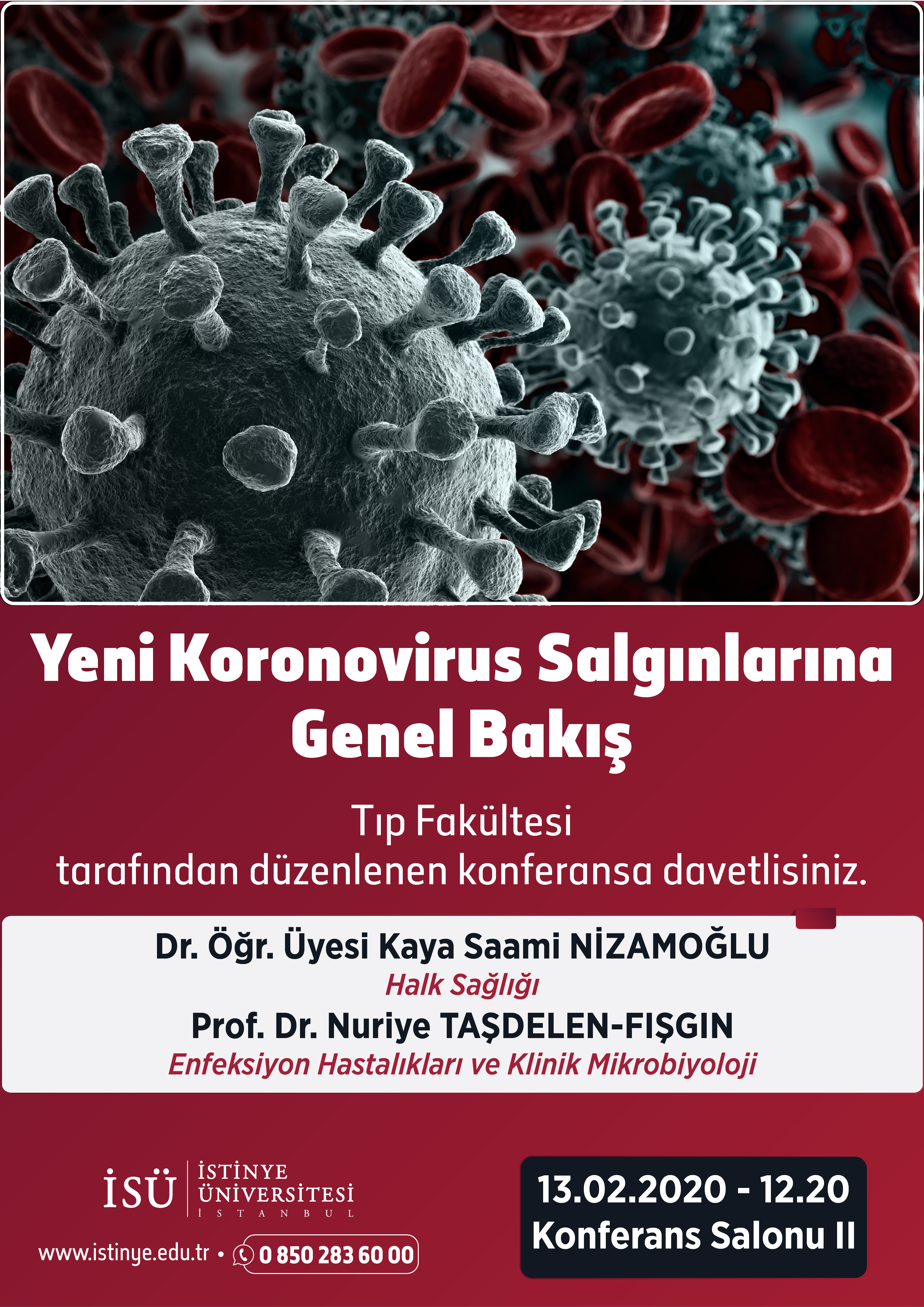 Yeni Koronovirus Salgınlarına Genel Bakış