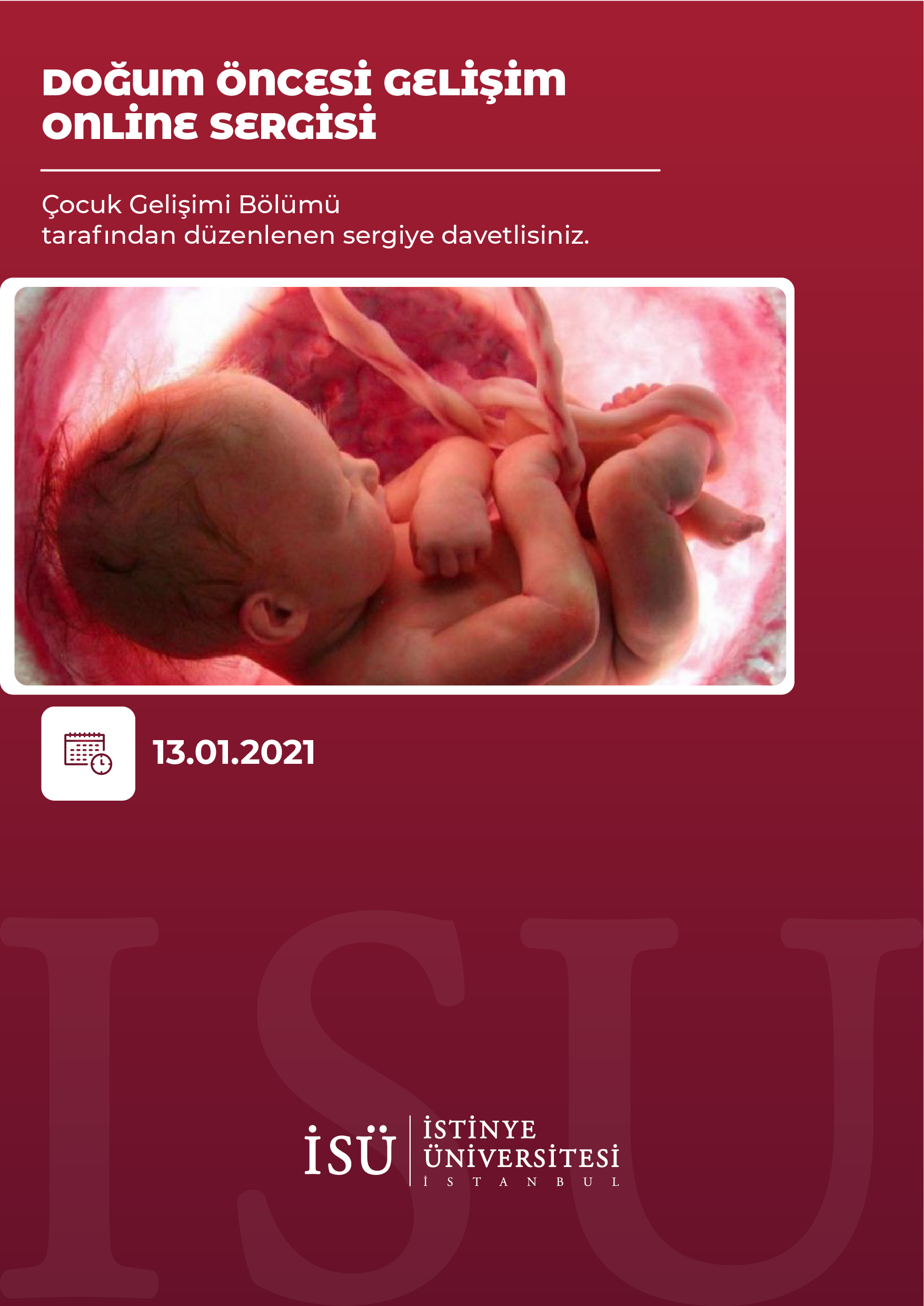 Doğum Öncesi Gelişim Online Sergisi