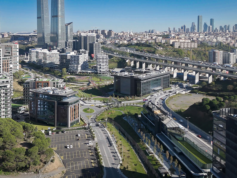 International Academic Collaborations