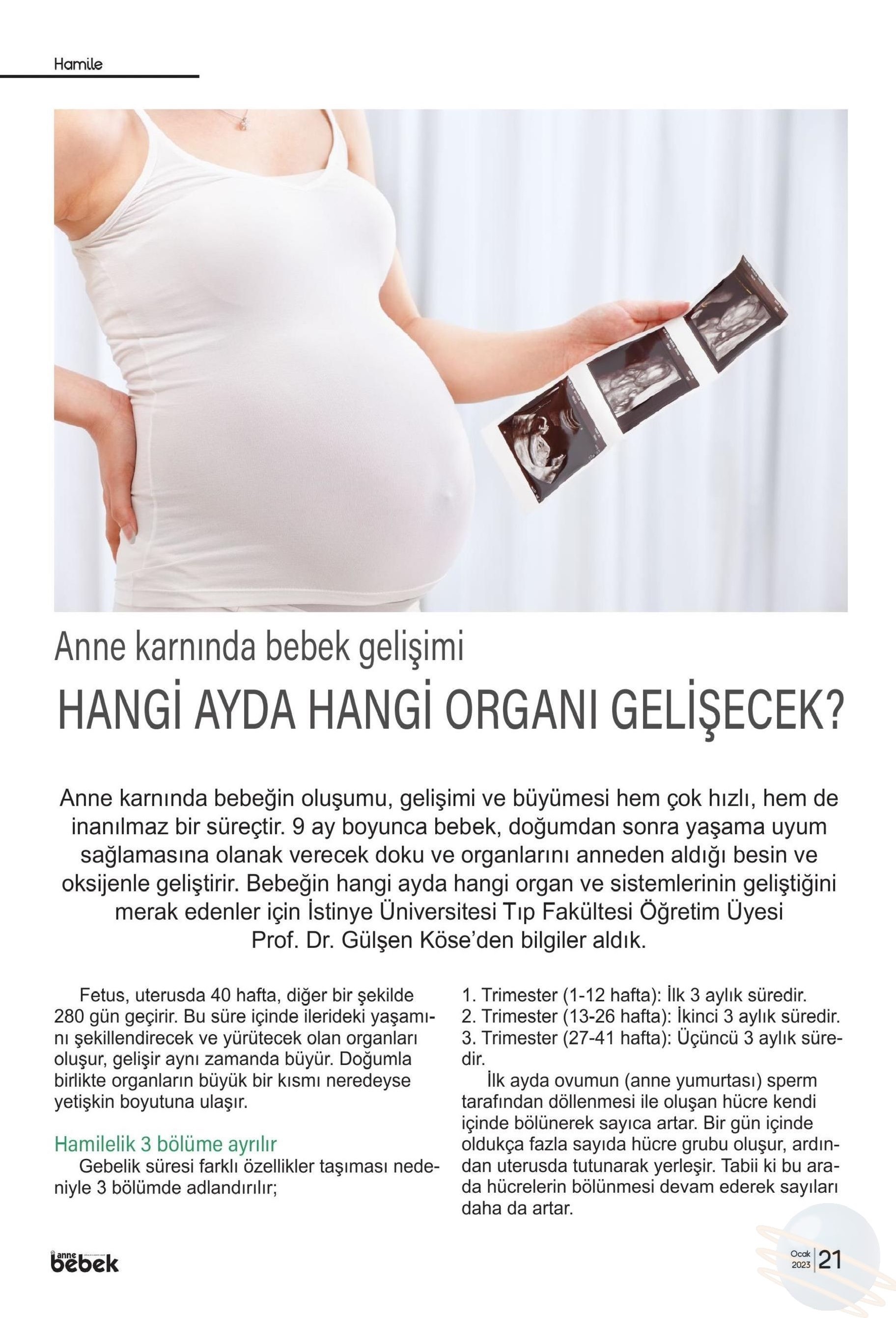 Anne Karn nda Bebek Geli imi stinye niversitesi anne-karn-nda-bebek-geli-imi-stinye-niversitesi