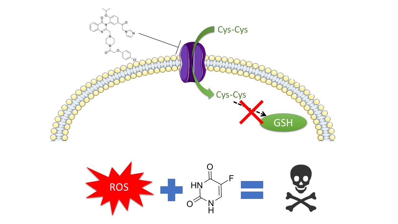 öykü gönül geyik 