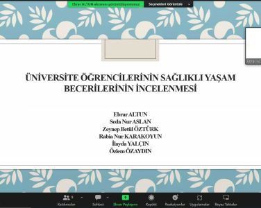 Online Meeting with students