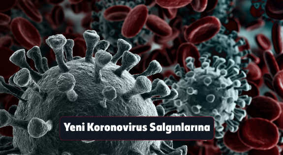 Yeni Koronovirus Salgınlarına Genel Bakış