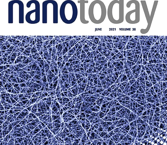 Our article was published in Nano Today journal.