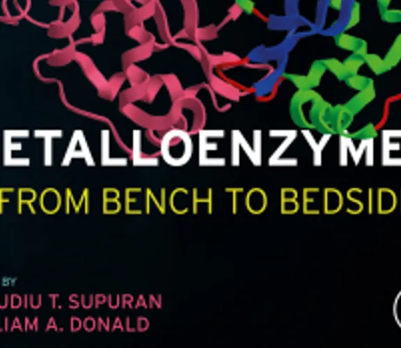 Prof. Dr. Atilla Akdemir's Book Chapter Has Been Published