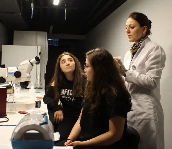 C.elegans (Caenorhabditis elegans) Eğitimi