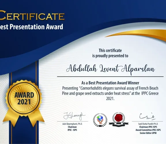 Most Successful Presentation Award