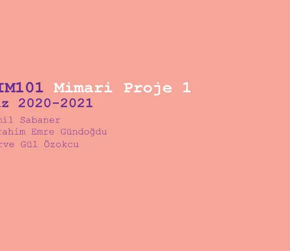 mimari proje 1