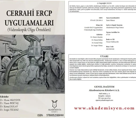 Akademik Çalışmalar