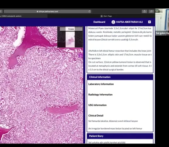 Dijital Mikroskopi Uygulaması