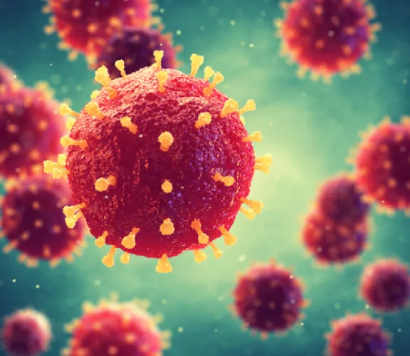 covid19