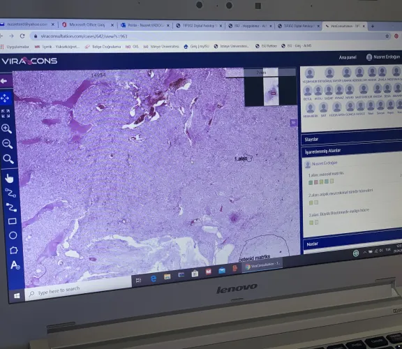 TIP Fakültesi Dijital Patoloji Uygulamalı Dersi Gerçekleştirdi