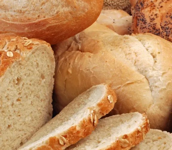 Dünyanın Ekmeği Festivali 