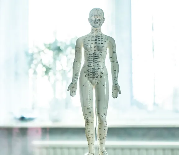 Fizyoterapi ve Rehabilitasyon Kulübü