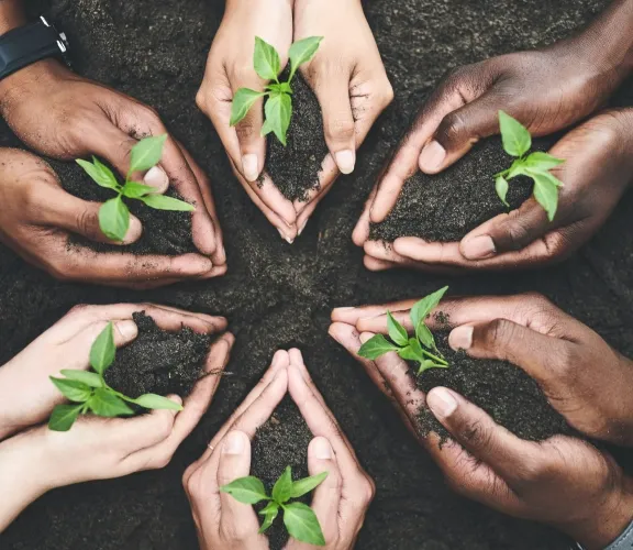 Sürdürülebilir Yaşam Kulübü