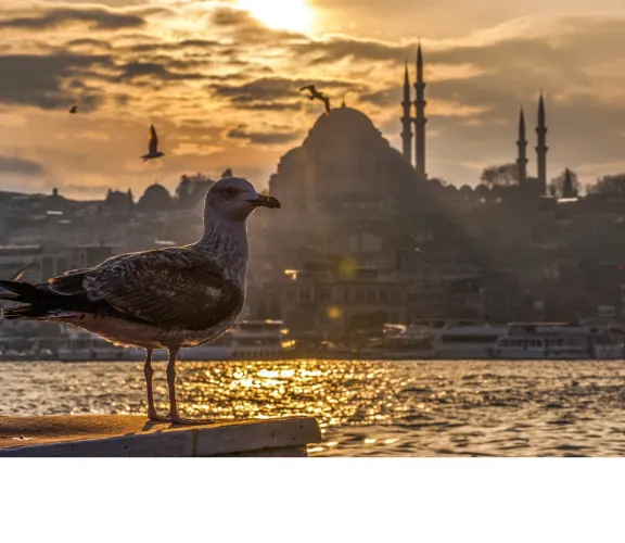 İstanbul Deyimleri ve Muhteşem Öyküleri