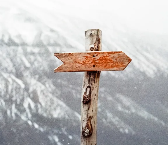 ÖMER'in Sizin İçin Seçtikleri