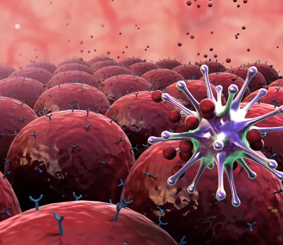  Moleküler Biyoloji ve Genetik Kulübü