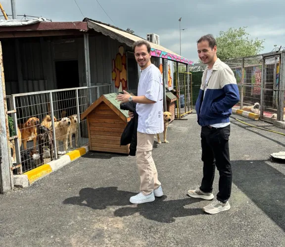 Onlar Bizim Patili Dostlarımız