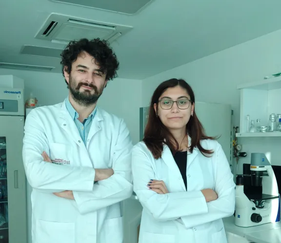 tıp fakültesi 