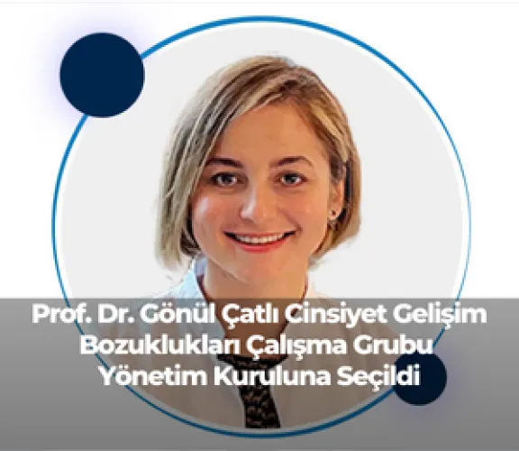 Gönül Çatlı